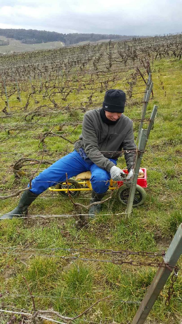 Les Origines - Champagne LACOURTE GODBILLON PREMIER CRU